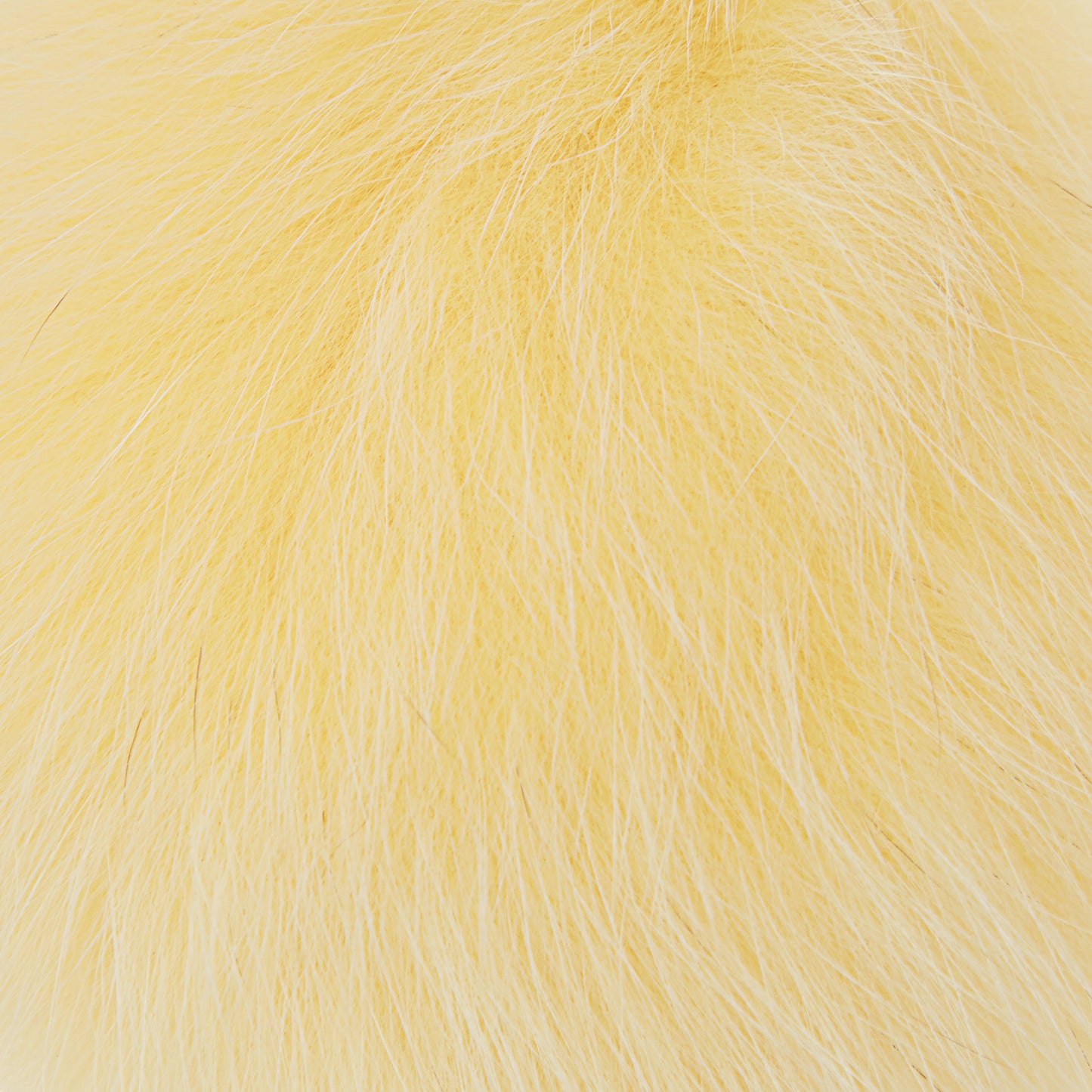 CHOYO(M) POMPOM