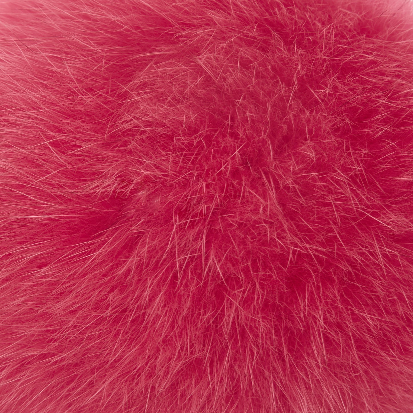 CHOYO(M) POMPOM