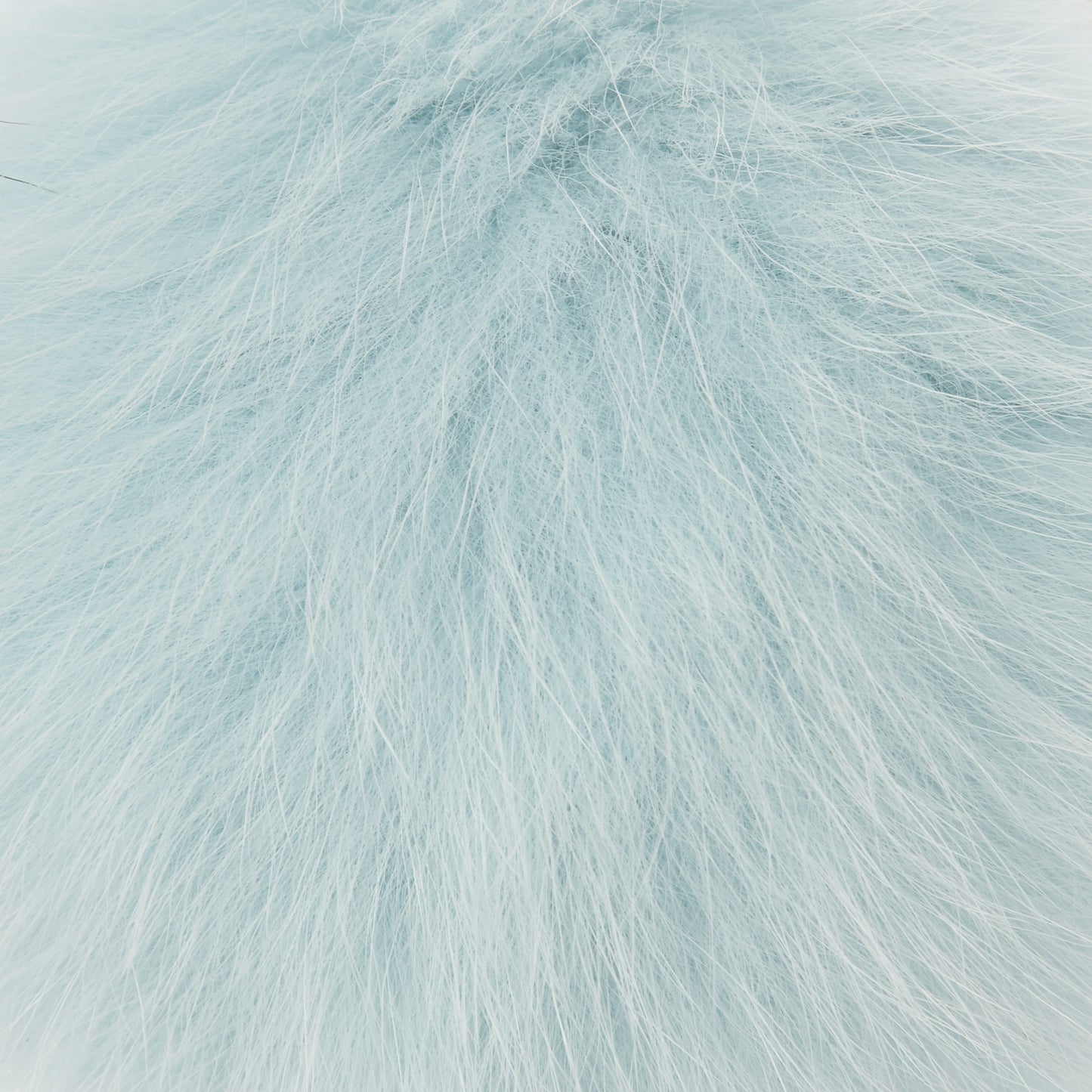 CHOYO(M) POMPOM