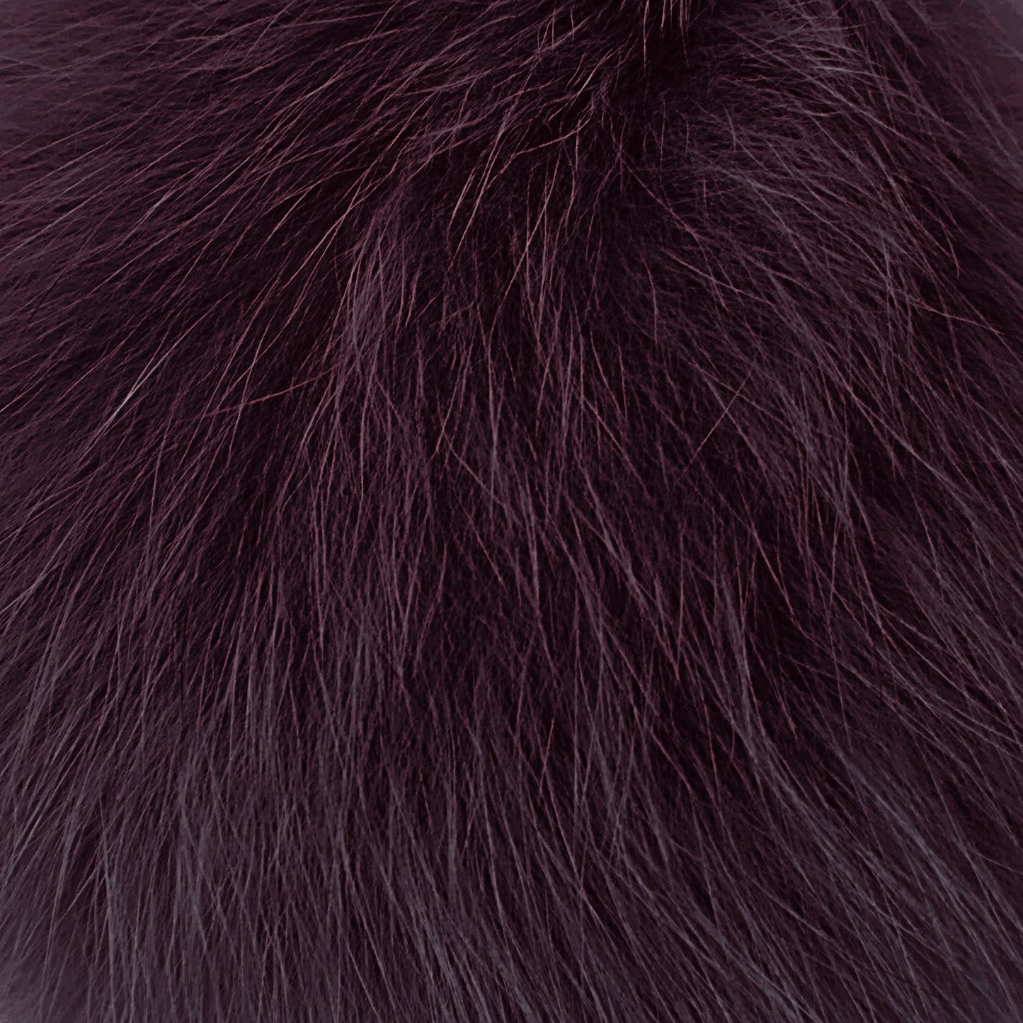 CHOYO(M) POMPOM